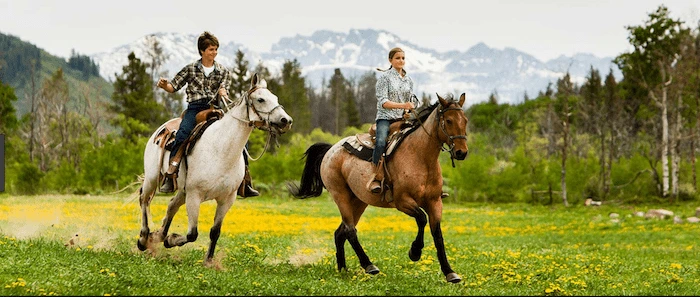 Confident plus-size woman riding Cheshire a horse through a field with a smile on her face.
